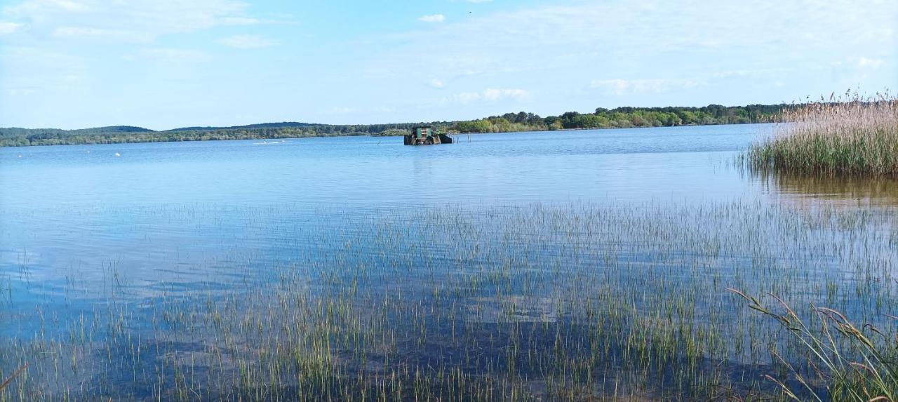 Les Terrasses Du Lac Piscine Et Vue Lac A4 Aureilhan  Экстерьер фото