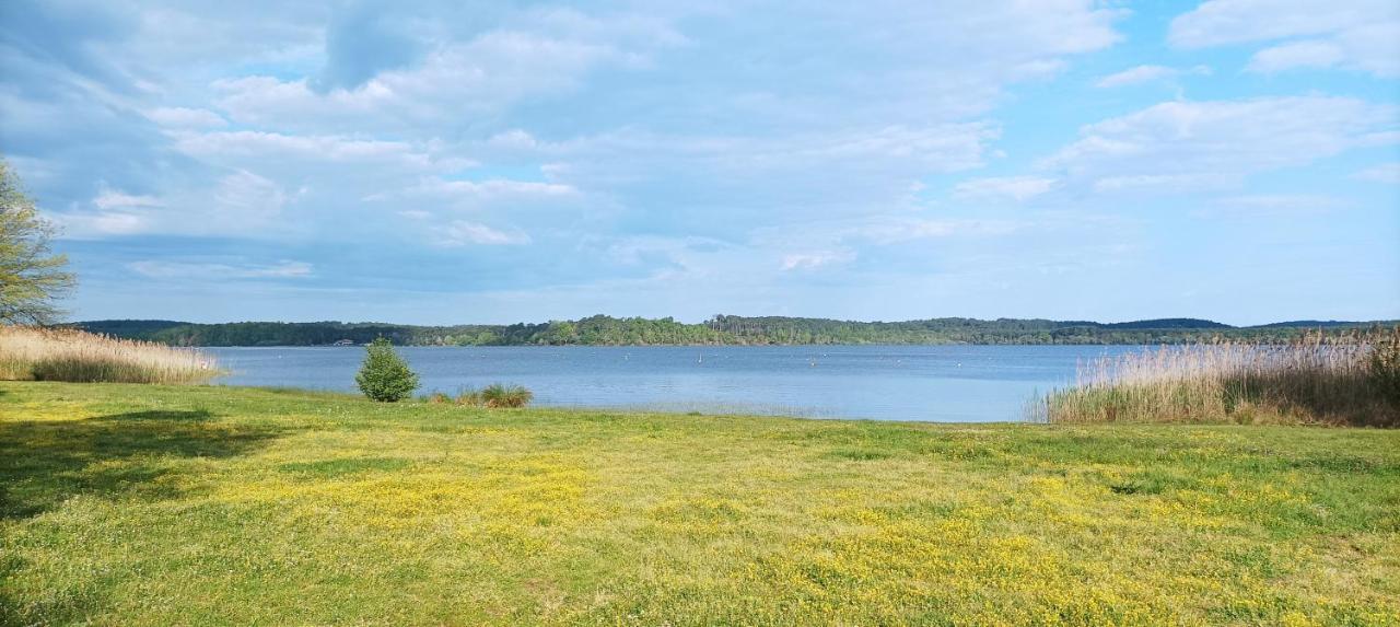 Les Terrasses Du Lac Piscine Et Vue Lac A4 Aureilhan  Экстерьер фото